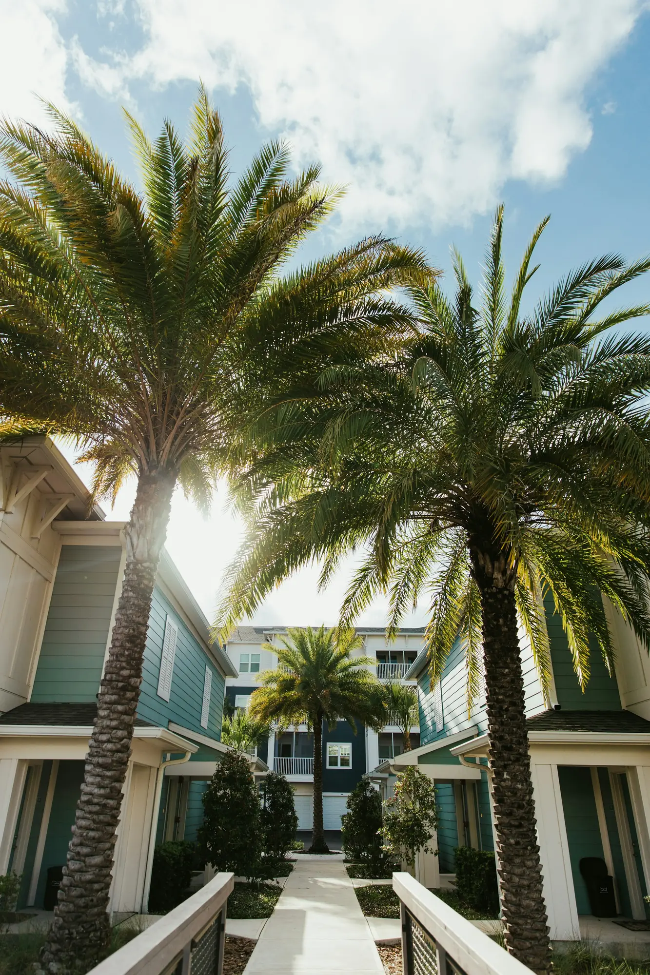 Apartment community entrance with palm trees in Tampa