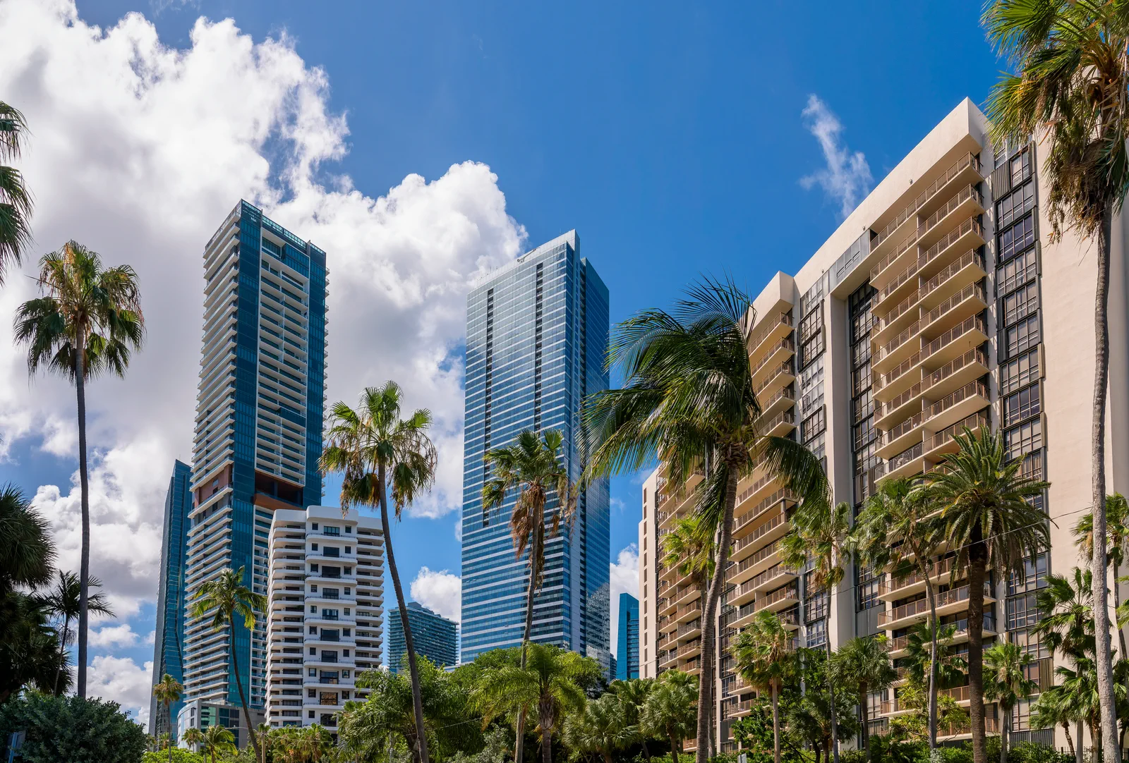 Florida condominium buildings surrounded by palm trees