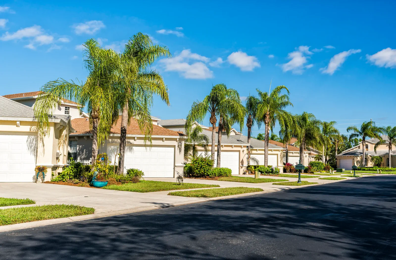 Established Florida residential community with palm-lined streets