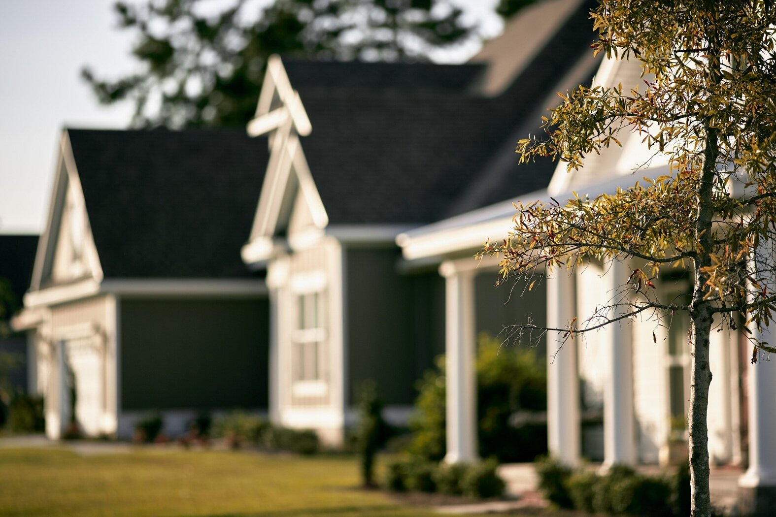 Establishing Harmony: Setting Up Rules for a Thriving Community